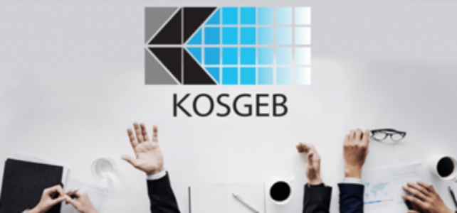 Kosgeb Destekleri